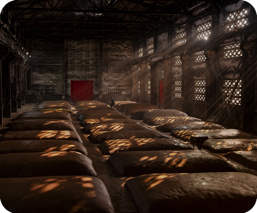 6008集团官方网站(中国)股份有限公司