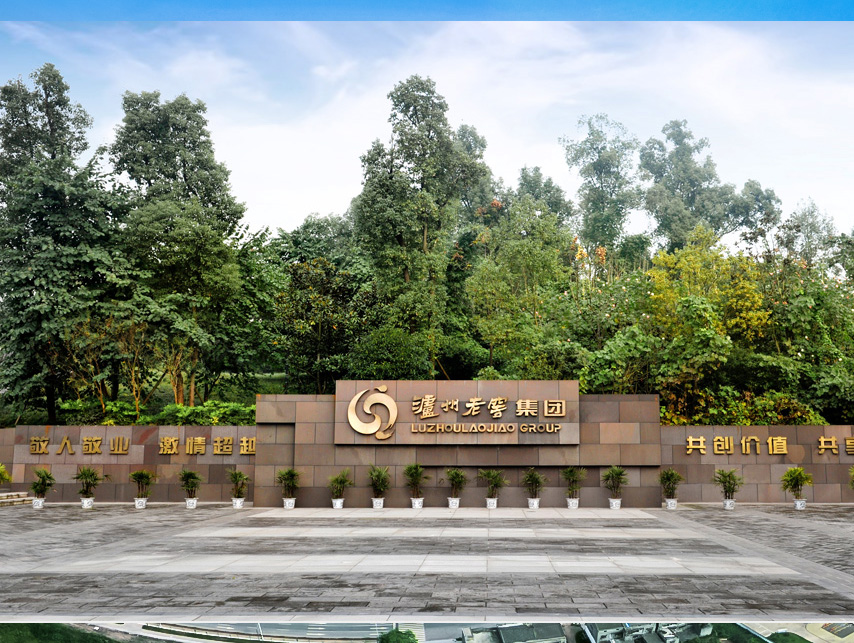 6008集团官方网站(中国)股份有限公司